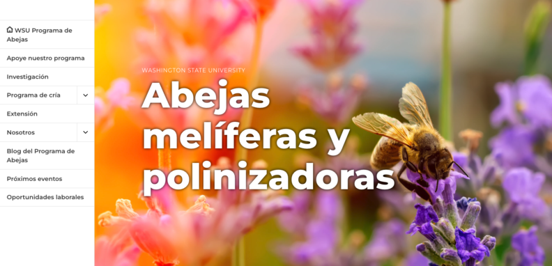 abejas meliferas y polinizadoras.